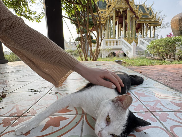 Bạn có thể dành cả ngày ở đây