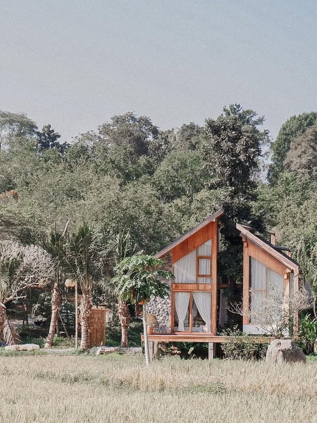 แวะคาเฟ่เสพธรรมชาติ บ้านนาก๋างโต้ง จ.น่าน🌳🌿 