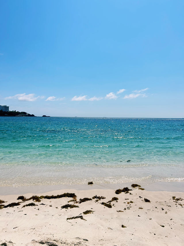 白い砂浜と青い海！白良浜で心癒されるビーチタイム🏖️🌊