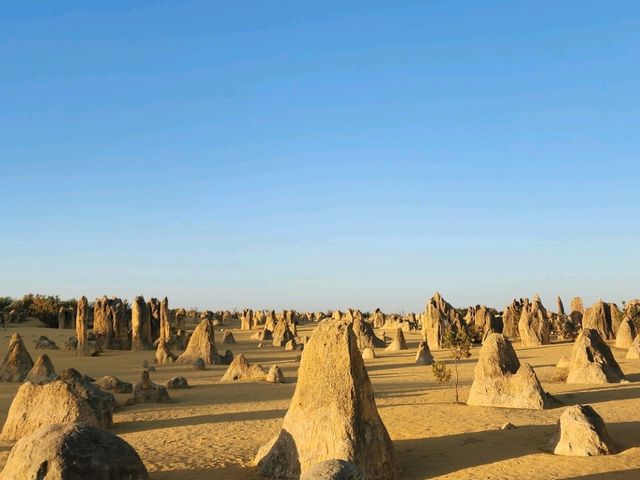 Magical Desert Pinnacles 