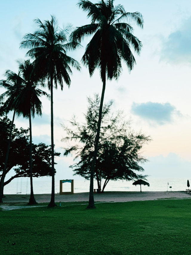 Desaru Beach – Where Golden Sands Meet Crystal Waters 🌊
