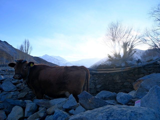 Nako Village