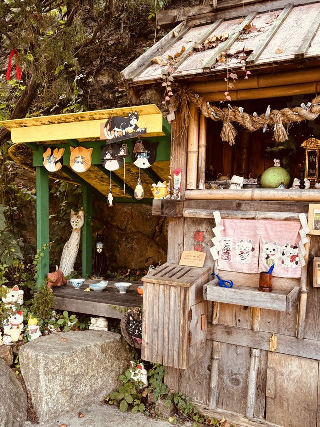 Nijimori Studio: A Little Slice of Japan in Gyeonggi
