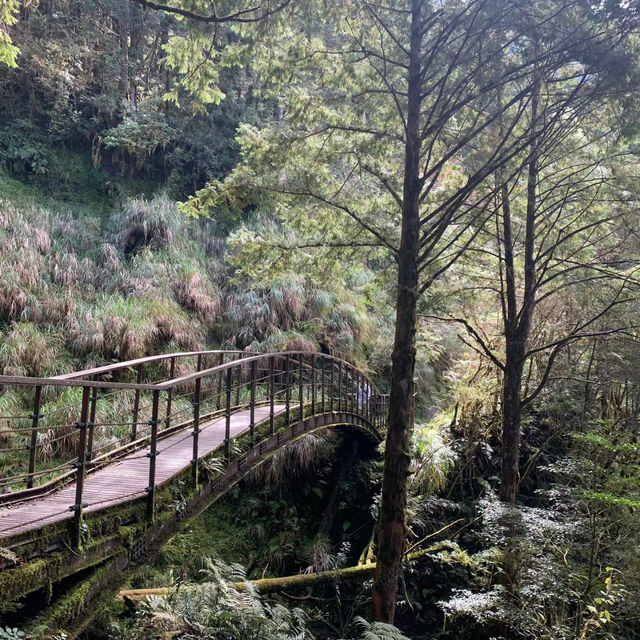 天母古道親山步道 | 清新綠野的悠然