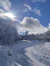 Shiga Kogen