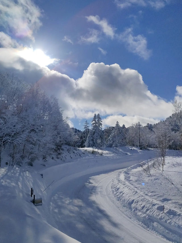 Shiga Kogen