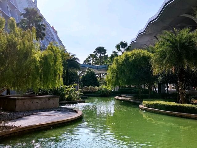The Garden-like setting at Movenpick Hotel 