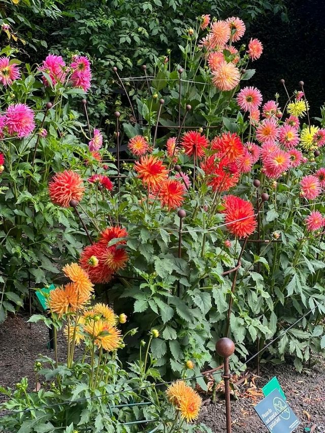 花園城市內的基督城植物園