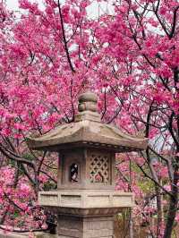 竹林山觀音寺