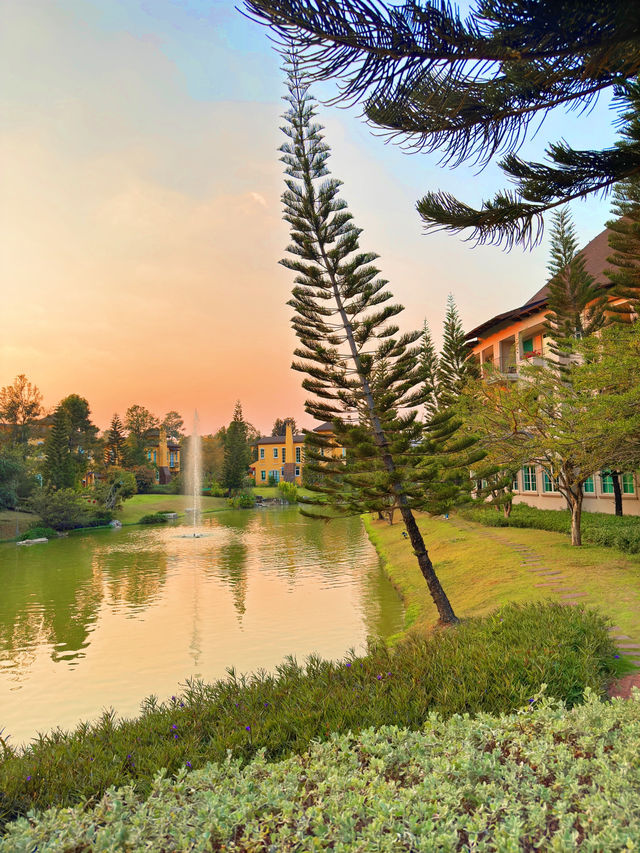  ที่พักโอบล้อมด้วยธรรมชาติให้ฟีลเหมือนอยู่ยุโรป