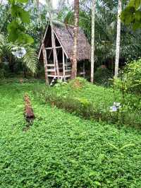  พักกายพักใจ ท่ามกลางธรรมชาติบ้านไร่ไออรุน ระนอง
