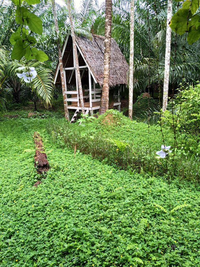  พักกายพักใจ ท่ามกลางธรรมชาติบ้านไร่ไออรุน ระนอง