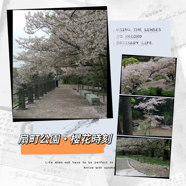 ～扇町公園～櫻花時光～