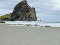 Nature's Drama: Piha Beach in Spring