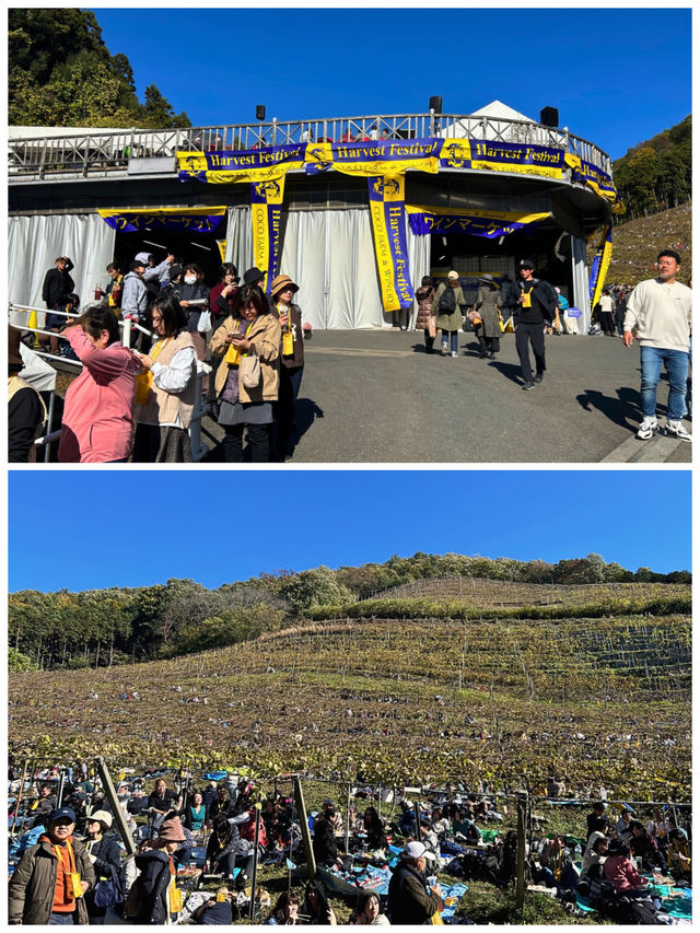 【栃木/足利】年に1度の収穫祭が楽しすぎた‼︎＊COCO FARM & WINERY＊
