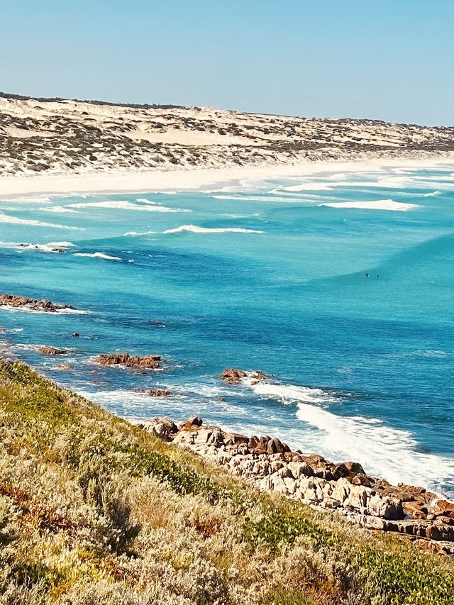 South Australia Road Trip: Sydney to SA🚗🏝️   