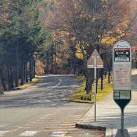 Sapporo Art Park