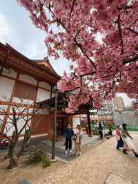 福岡｜延年益壽鶴靈泉、千年銀杏 奈良時代至今博多總鎮守櫛田神社