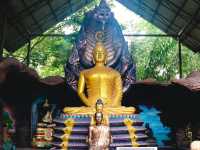 วัดป่าปากโดม