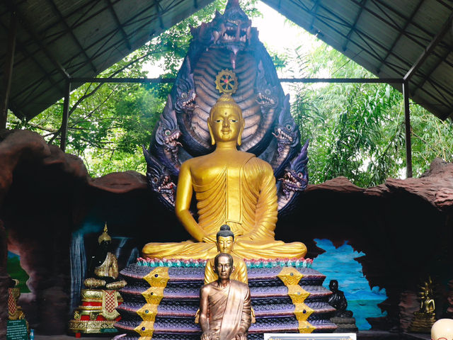 วัดป่าปากโดม