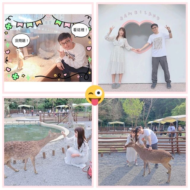 斑比山丘⛰️小鹿斑比的Wonderland🦌