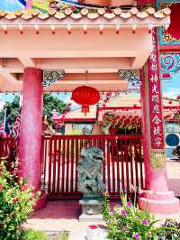 Bloom and Serenity: Spring Temple Visit
