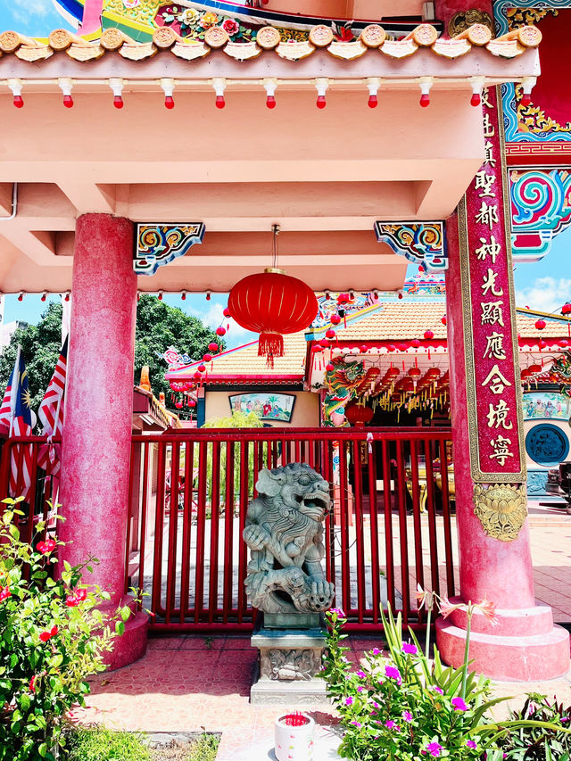 Bloom and Serenity: Spring Temple Visit