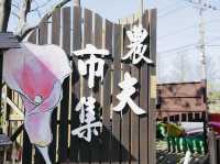 桃園｜桃園秘境花海 溪海花卉園區必玩亮點，賞花、看飛機、親子同樂一次滿足