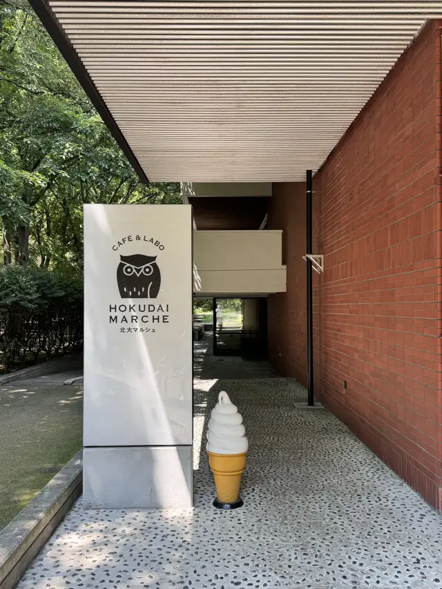 삿포로 필수 근교여행 오타루 기행