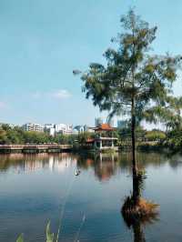 Green landscapes at Longtan Park