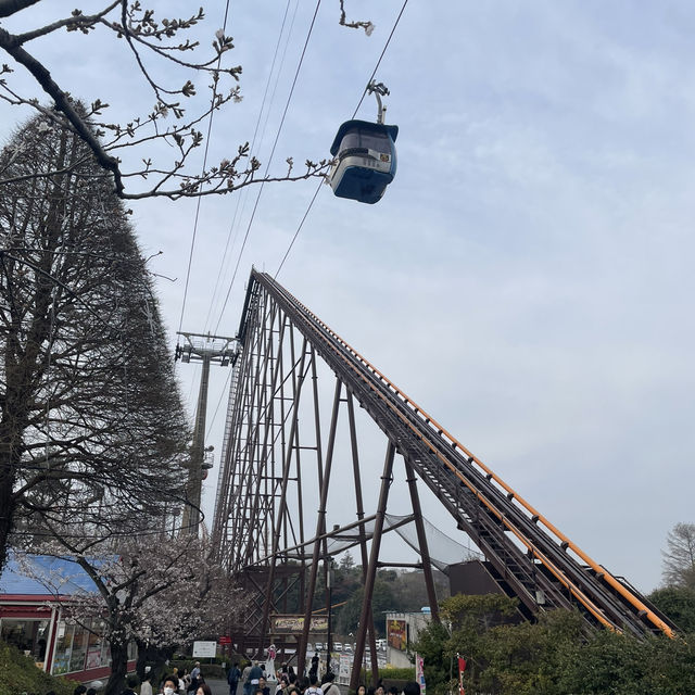 【よみうりランド】を完全レビュー