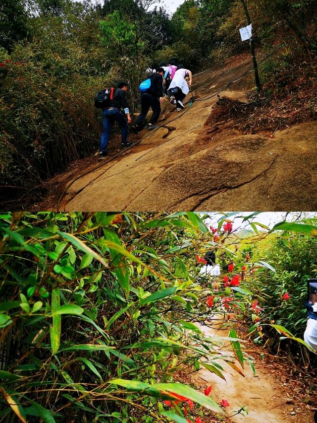 深圳打鼓嶂千島湖• 馬巒山•鵝公髻三山連走