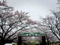 高千穗牧場