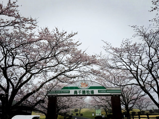 高千穗牧場