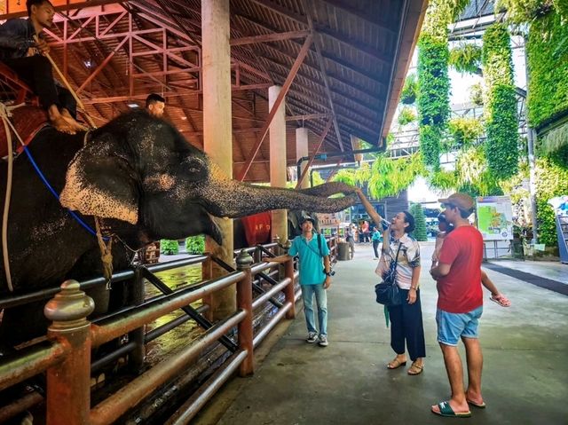 1-Day Family Trip to Pattaya: Nong Nooch Garden & Beachside Relaxation💚