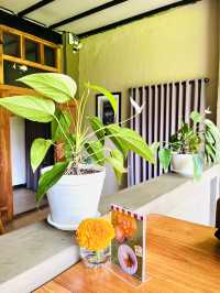 Spring Dine next to Paddy Field: Fuzion