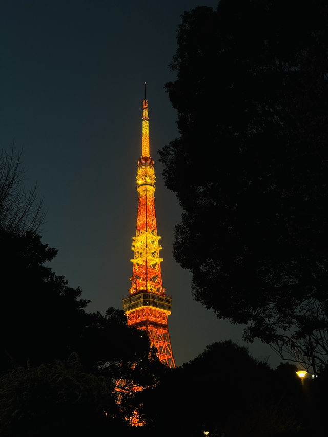 Tokyo Tower 🗼 