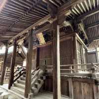 太宰府天滿宮（Dazaifu Tenmangu）