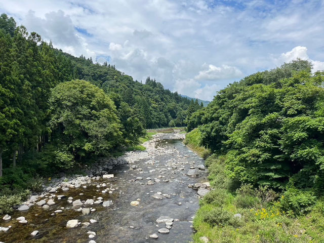 【大自然の中でリフレッシュ！「ひるがの高原キャンプ場」⛺🌲】