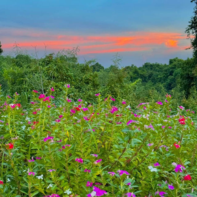  ที่พักสไตล์ Glamping สุดฮีลใจใกล้กรุงเทพ 🏠🌸🍃