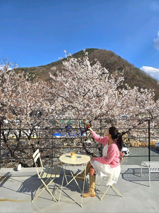 테라스벚꽃 포토존이 너무 예쁜 밀양카페🌸
