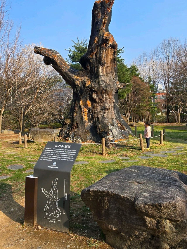 경기도 오산 물향기수목원🌝🌸