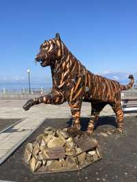 Vladivostok by the sea