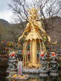 อุทยานน้ำหยก Lijiang Jade Water Village 