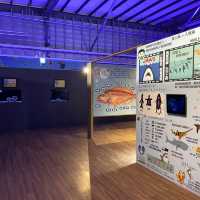 海洋生物互動展館，近距離觀賞與餵食鯊魚