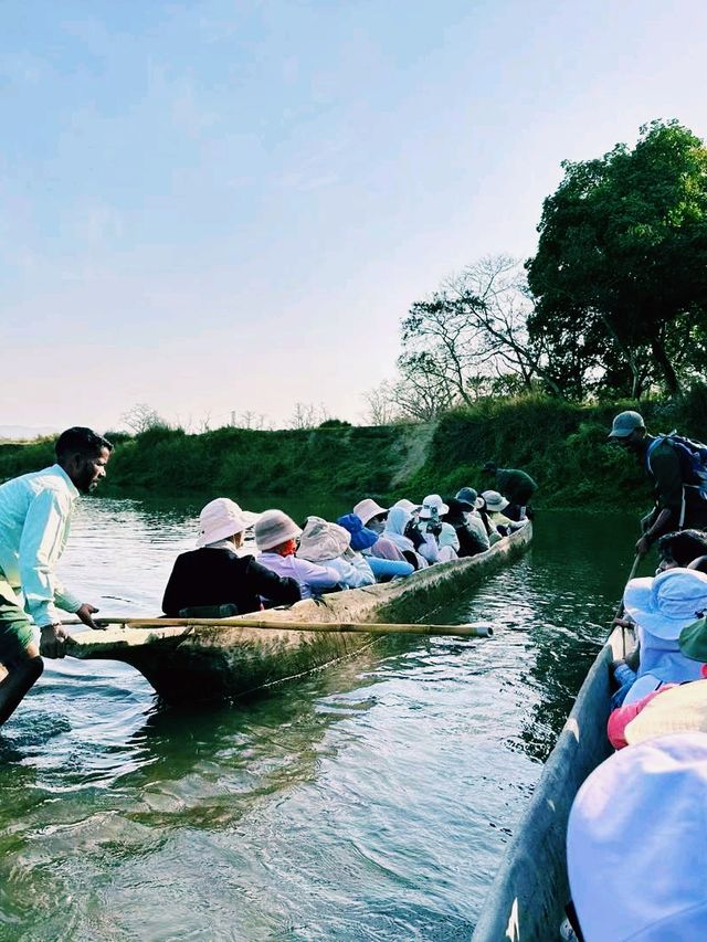 尼泊爾奇特旺國家公園旅遊攻略，適合打卡拍照📸