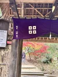 【滋賀県】近江八幡で紅葉がオススメな場所