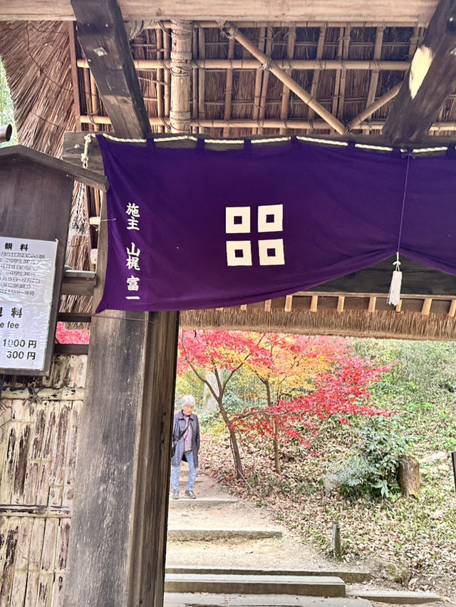 【滋賀県】近江八幡で紅葉がオススメな場所
