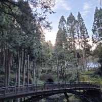 阿里山國家森林遊樂區 Alishan Forest Recreation Area