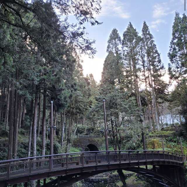 阿里山國家森林遊樂區 Alishan Forest Recreation Area